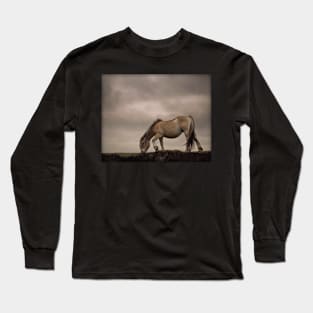 Fjord horse Long Sleeve T-Shirt